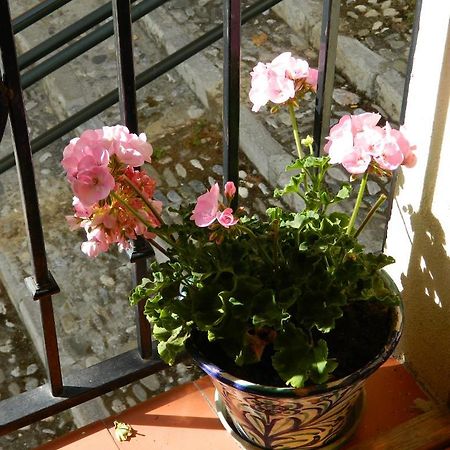 Escapadas Romanticas En Granada Jacuzzi Екстериор снимка