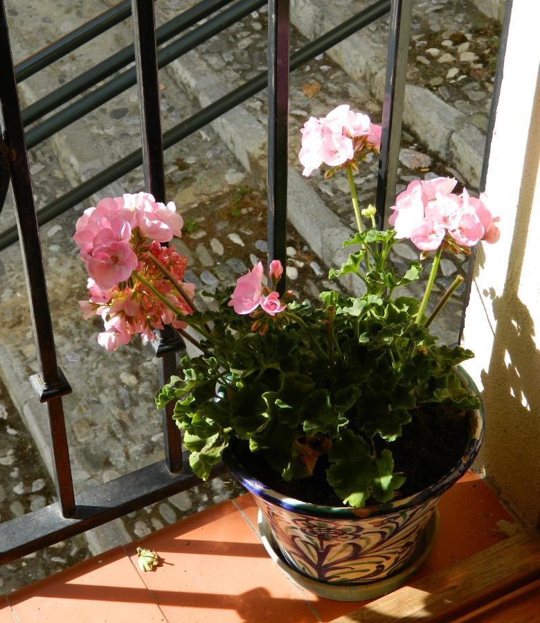 Escapadas Romanticas En Granada Jacuzzi Екстериор снимка